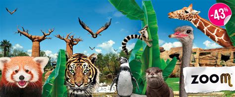 Zoo Tycoon: Immergiti nella gestione di uno zoo e scopri la magia della conservazione!